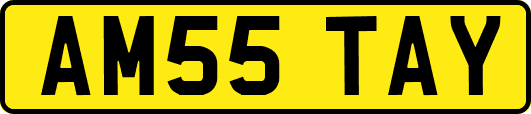AM55TAY