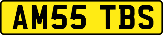 AM55TBS