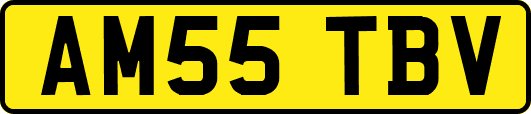 AM55TBV