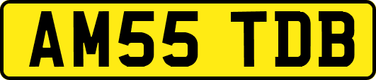 AM55TDB