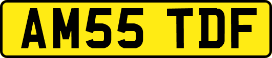 AM55TDF