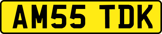 AM55TDK