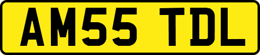 AM55TDL