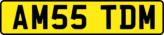 AM55TDM