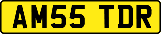 AM55TDR