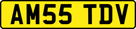 AM55TDV