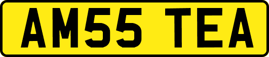 AM55TEA