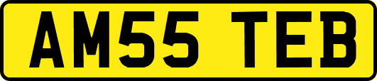 AM55TEB