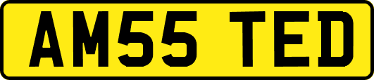AM55TED
