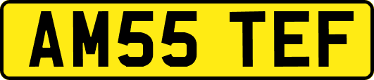 AM55TEF