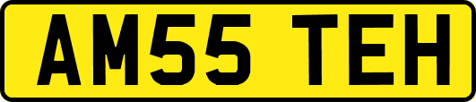 AM55TEH