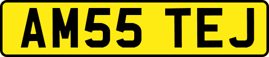 AM55TEJ