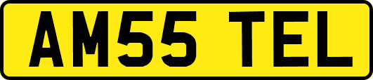AM55TEL
