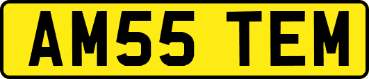 AM55TEM