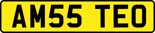 AM55TEO