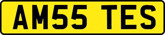 AM55TES