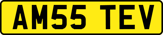AM55TEV