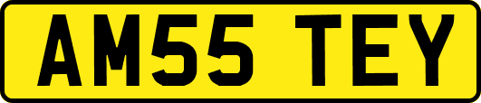 AM55TEY