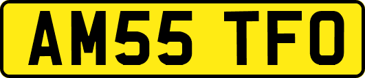 AM55TFO