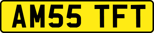 AM55TFT