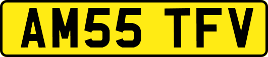 AM55TFV