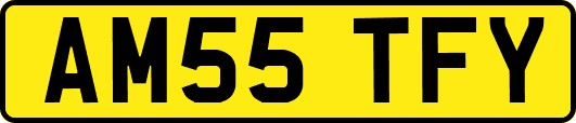 AM55TFY