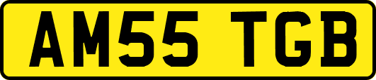 AM55TGB