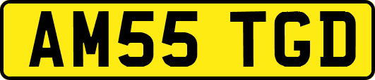 AM55TGD