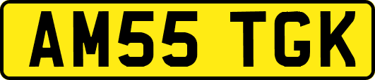 AM55TGK