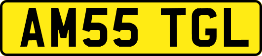 AM55TGL