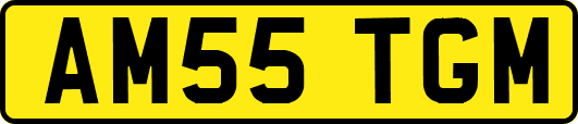 AM55TGM