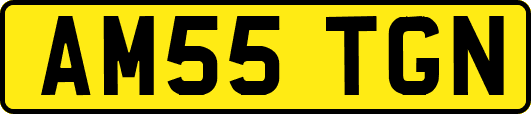 AM55TGN