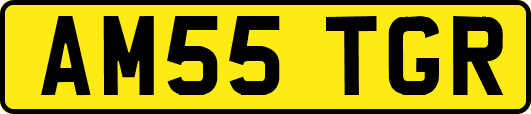 AM55TGR