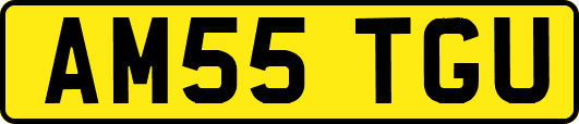 AM55TGU