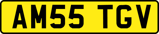 AM55TGV
