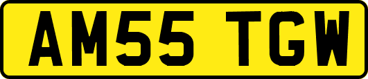 AM55TGW