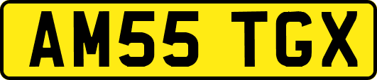 AM55TGX