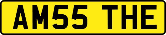 AM55THE