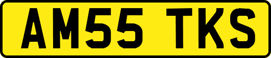 AM55TKS