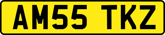 AM55TKZ