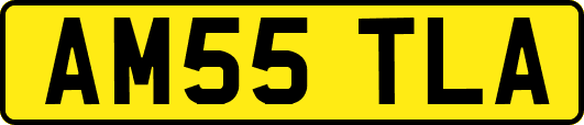 AM55TLA