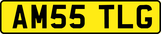 AM55TLG
