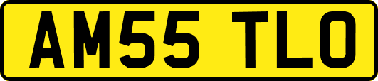 AM55TLO