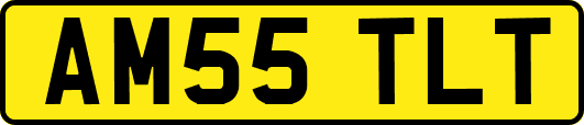 AM55TLT