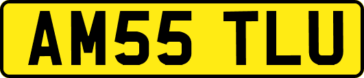 AM55TLU
