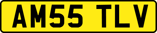 AM55TLV