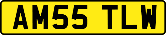 AM55TLW