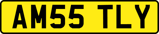 AM55TLY