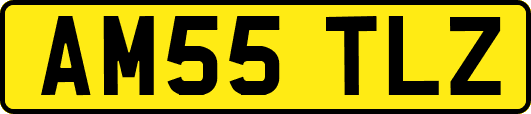 AM55TLZ