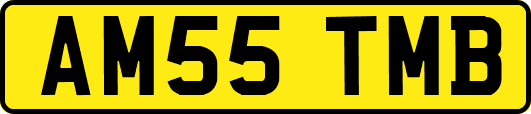 AM55TMB